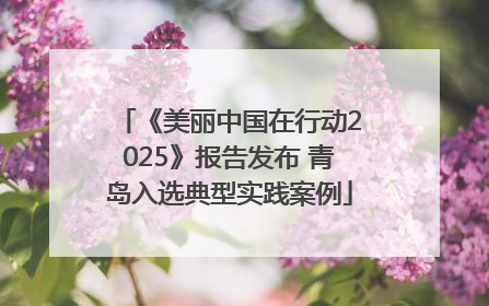 《美丽中国在行动2025》报告发布 青岛入选典型实践案例
