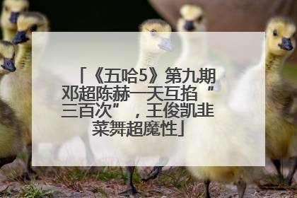《五哈5》第九期邓超陈赫一天互掐“三百次”，王俊凯韭菜舞超魔性