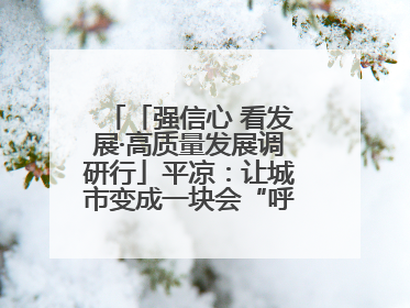 「强信心 看发展·高质量发展调研行」平凉：让城市变成一块会“呼吸”的海绵