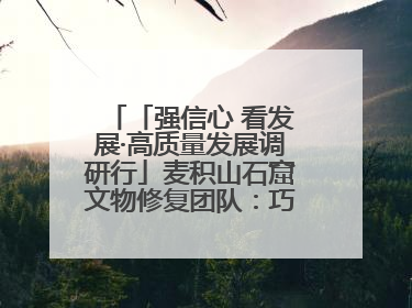 「强信心 看发展·高质量发展调研行」麦积山石窟文物修复团队：巧手匠心触摸“光阴的故事”