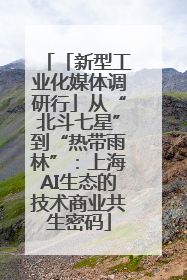 「新型工业化媒体调研行」从“北斗七星”到“热带雨林”：上海AI生态的技术商业共生密码