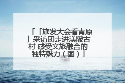 「旅发大会看青原」采访团走进渼陂古村 感受文旅融合的独特魅力（图）