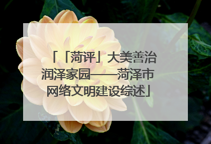 「菏评」大美善治润泽家园——菏泽市网络文明建设综述