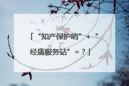“知产保护哨”+“经盾服务站”=？