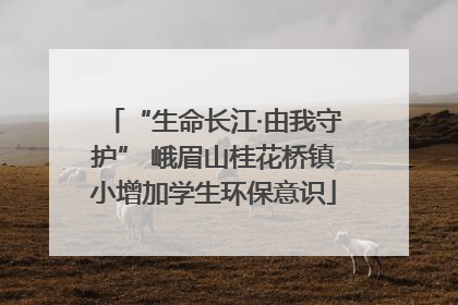 “生命长江·由我守护” 峨眉山桂花桥镇小增加学生环保意识
