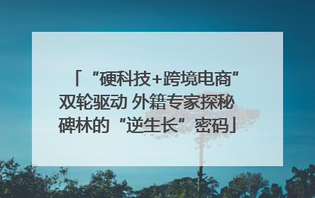 “硬科技+跨境电商”双轮驱动 外籍专家探秘碑林的“逆生长”密码