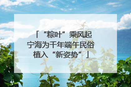 “粽叶”乘风起 宁海为千年端午民俗植入“新姿势”