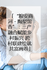 “粮安商河・陶梨留香”：三产融合赋能乡村振兴 跨村联建绘就共富画卷