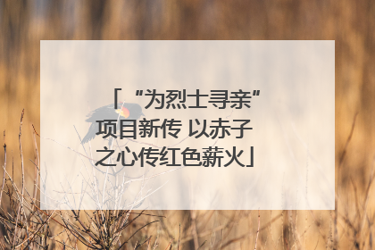 “为烈士寻亲”项目新传 以赤子之心传红色薪火