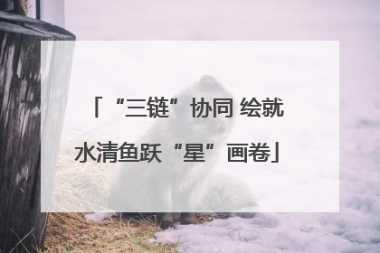 “三链”协同 绘就水清鱼跃“星”画卷