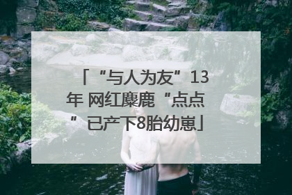 “与人为友”13年 网红麋鹿“点点”已产下8胎幼崽