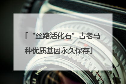 “丝路活化石”古老马种优质基因永久保存