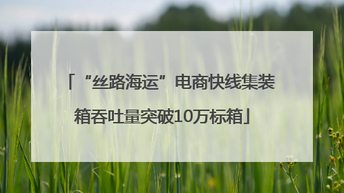 “丝路海运”电商快线集装箱吞吐量突破10万标箱