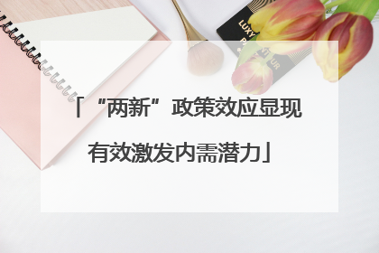 “两新”政策效应显现 有效激发内需潜力