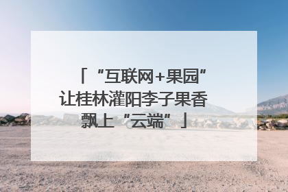 “互联网+果园”让桂林灌阳李子果香飘上“云端”