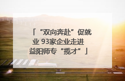 “双向奔赴”促就业 93家企业走进益阳师专“揽才”