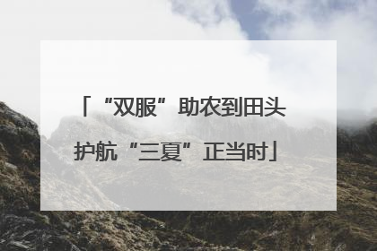“双服”助农到田头 护航“三夏”正当时
