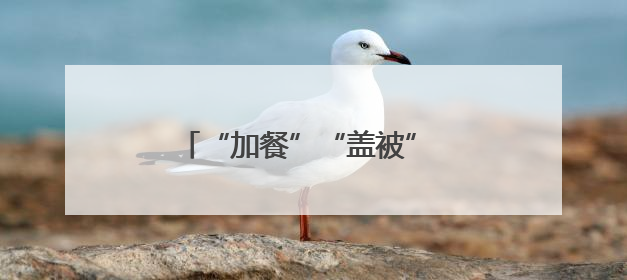 “加餐”“盖被” 为黑土地“增肥”