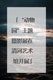 “动物园”主题摄影展在清河艺术馆开展