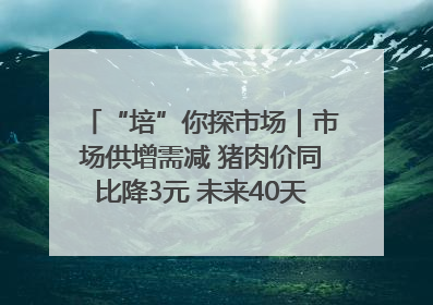 “培”你探市场｜市场供增需减 猪肉价同比降3元 未来40天便宜猪肉敞开吃