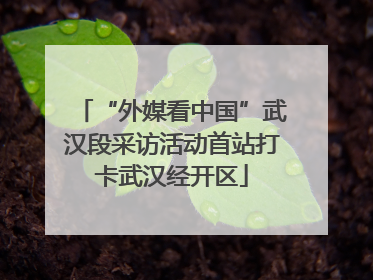 “外媒看中国”武汉段采访活动首站打卡武汉经开区