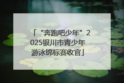 “奔跑吧少年”2025银川市青少年游泳锦标赛收官