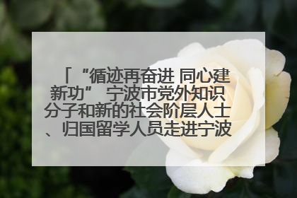 “循迹再奋进 同心建新功” 宁波市党外知识分子和新的社会阶层人士、归国留学人员走进宁波舟山港穿山港区