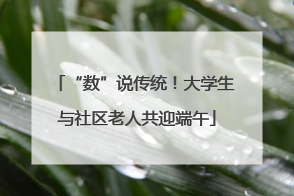 “数”说传统！大学生与社区老人共迎端午