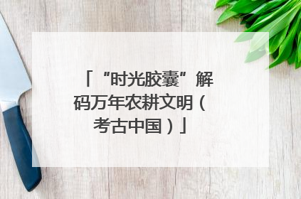 “时光胶囊”解码万年农耕文明（考古中国）