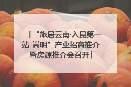 “旅居云南·入昆第一站-嵩明”产业招商推介暨房源推介会召开