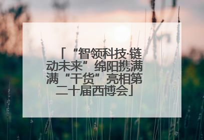 “智领科技·链动未来”绵阳携满满“干货”亮相第二十届西博会