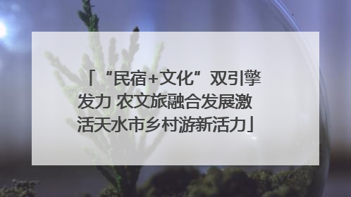 “民宿+文化”双引擎发力 农文旅融合发展激活天水市乡村游新活力