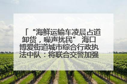 “海鲜运输车凌晨占道卸货，噪声扰民” 海口博爱街道城市综合行政执法中队：将联合交警加强长堤路一带巡逻