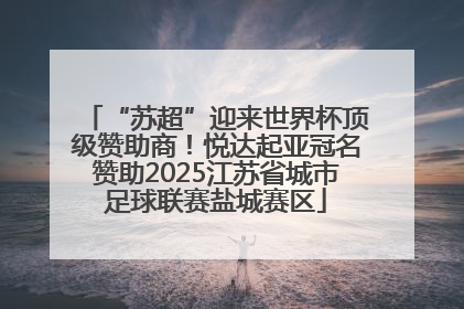 “苏超”迎来世界杯顶级赞助商！悦达起亚冠名赞助2025江苏省城市足球联赛盐城赛区
