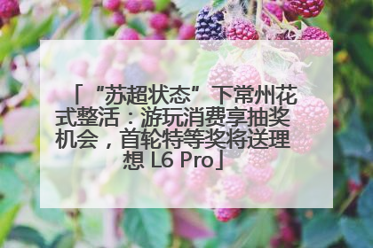 “苏超状态”下常州花式整活：游玩消费享抽奖机会，首轮特等奖将送理想 L6 Pro