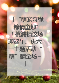 “萌宠奇缘 粽情童趣”！桃浦镇这场迎端午、庆六一主题活动“萌”翻全场～