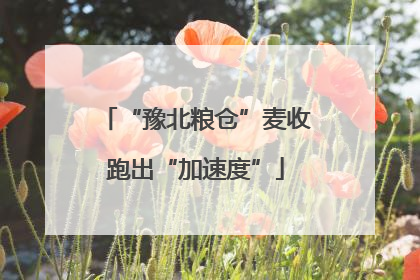 “豫北粮仓”麦收跑出“加速度”