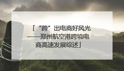 “跨”出电商好风光——郑州航空港跨境电商高速发展综述