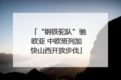 “钢铁驼队”驰欧亚 中欧班列加快山西开放步伐
