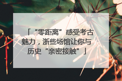 “零距离”感受考古魅力，浙些场馆让你与历史“亲密接触”