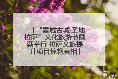 “雪域古城·圣地拉萨”文化旅游节圆满举行 拉萨文旅提升项目惊艳亮相
