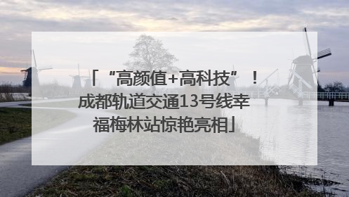 “高颜值+高科技”！成都轨道交通13号线幸福梅林站惊艳亮相
