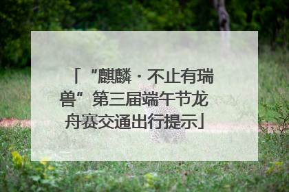 “麒麟・不止有瑞兽”第三届端午节龙舟赛交通出行提示