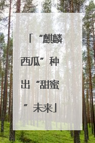 “麒麟西瓜”种出“甜蜜”未来