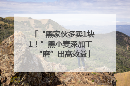 “黑家伙多卖1块1！”黑小麦深加工“磨”出高效益