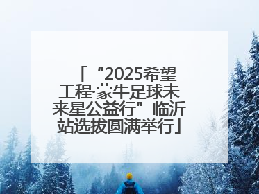 “2025希望工程·蒙牛足球未来星公益行”临沂站选拔圆满举行