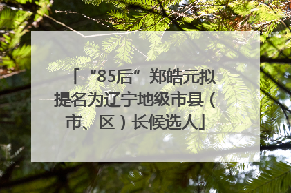 “85后”郑皓元拟提名为辽宁地级市县（市、区）长候选人