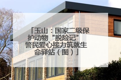 玉山：国家二级保护动物“脱险记” 警民爱心接力筑就生命驿站（图）