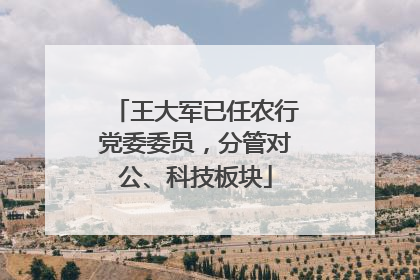 王大军已任农行党委委员，分管对公、科技板块