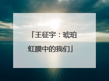 王征宇：琥珀虹膜中的我们